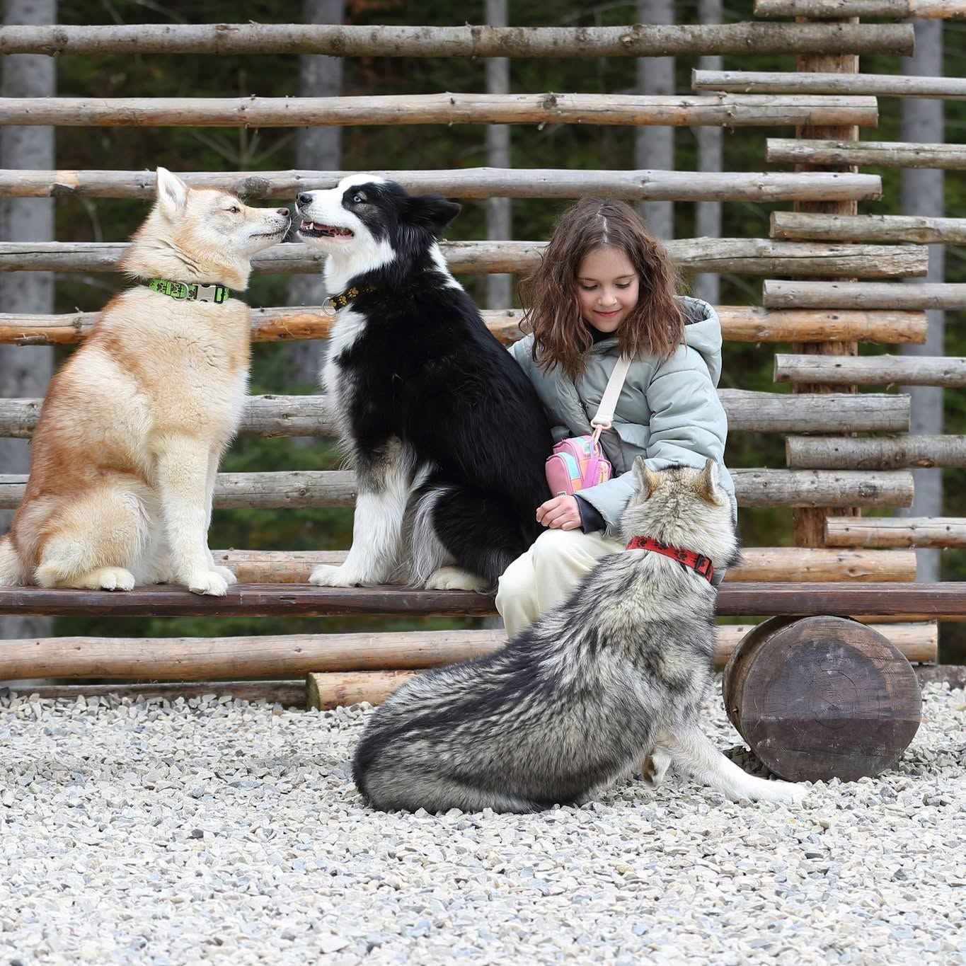 Husky House
